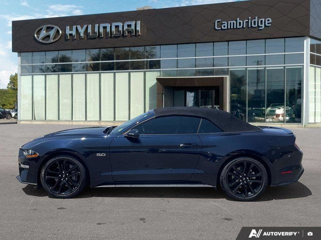 2021 Ford Mustang GT Premium | 5.0L V8 | Heated & Cooled Seats in Cars & Trucks in Cambridge - Image 3