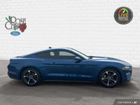 - ACCIDENT FREE - CLOTH SEATS - DUAL ZONE TEMP CONTROL - FORDPASS CONNECT - BLIND SPOT MONITOR - LAN... (image 6)