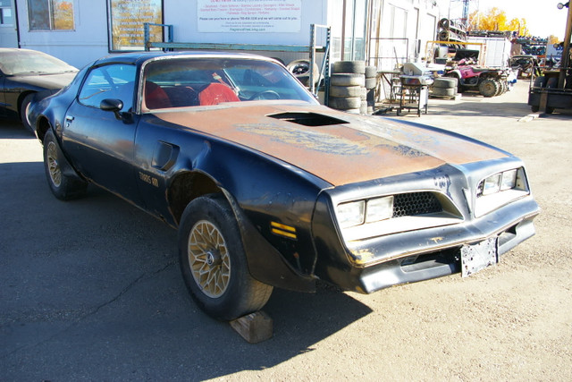1977 Trans Am 400 Auto with Hurst T-Top Special Edition in Classic Cars in Edmonton - Image 3
