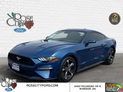 - ACCIDENT FREE - CLOTH SEATS - DUAL ZONE TEMP CONTROL - FORDPASS CONNECT - BLIND SPOT MONITOR - LAN...