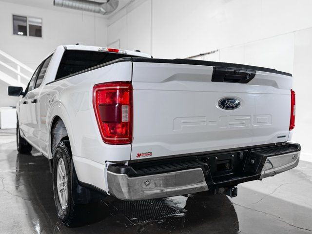 2023 Ford F-150 XLT | No Accident | 6-Passenger | Bedliner in Cars & Trucks in Grande Prairie - Image 4