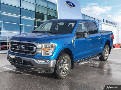 2021 Ford F-150 XLT 301a | XTR Pack | Accident Free | Local Vehi
