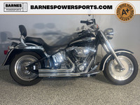 2003 Harley-Davidson FLSTFI - Fat Boy