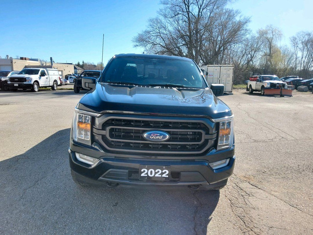  2022 Ford F-150 XLT in Cars & Trucks in Peterborough - Image 2