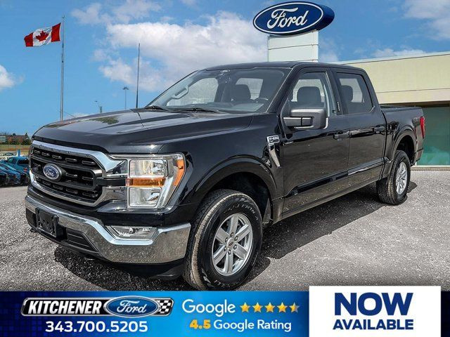 2021 Ford F-150 XLT | 301A | TOWING PKG | NAVIGATION | CHROME in Cars & Trucks in Kitchener / Waterloo