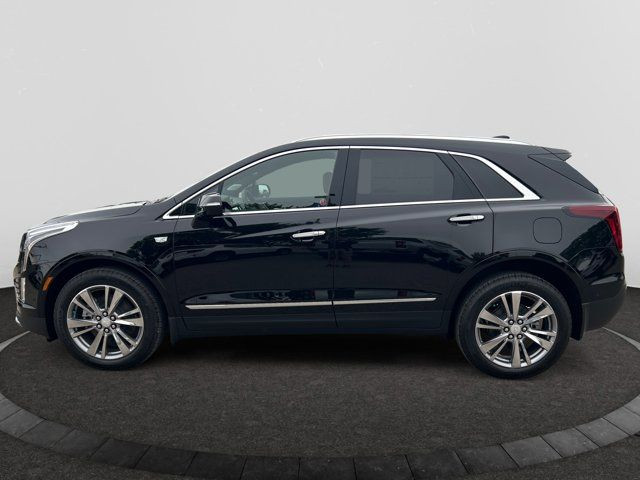 2025 Cadillac XT5 AWD Premium Luxury in Cars & Trucks in Regina - Image 2