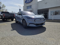 Employee Pricing on now! You pay what we pay on every New and Used Vehicle at Maclin Ford - Calgarys... (image 1)