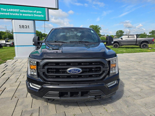 2022 Ford F-150 in Cars & Trucks in Ottawa - Image 2