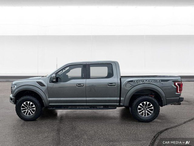2020 Ford F-150 Raptor in Cars & Trucks in Winnipeg - Image 2