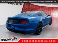 Icône de la route depuis 1964, la Ford Mustang incarne à elle seule plus d’un demi-siècle de passion... (image 8)