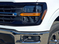 Your Grande Prairie Chrysler store just took in this vehicle! It is either in transit or freshly tra... (image 8)