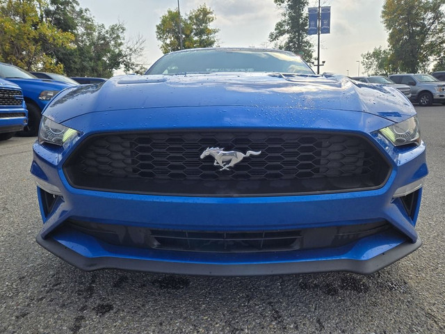 2019 Ford Mustang ECOBOOST | HTD LTH SEATS | REV CAM in Cars & Trucks in Calgary - Image 3