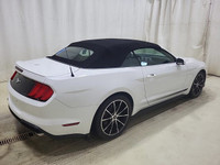 Come see this certified 2020 Ford Mustang EcoBoost Convertible - Wheel & Stripe PKG | Auto | Reverse... (image 2)