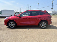 Recent Arrival! 2.5L iVCT, 4-Way Manual Passenger Seat, 6 Speakers, 8-Way Power Driver Seat, Adaptiv... (image 3)