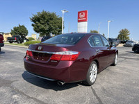 This 2014 Honda Accord Touring Sedan boasts a luxurious Basque Red Pearl II exterior and is ready to... (image 4)