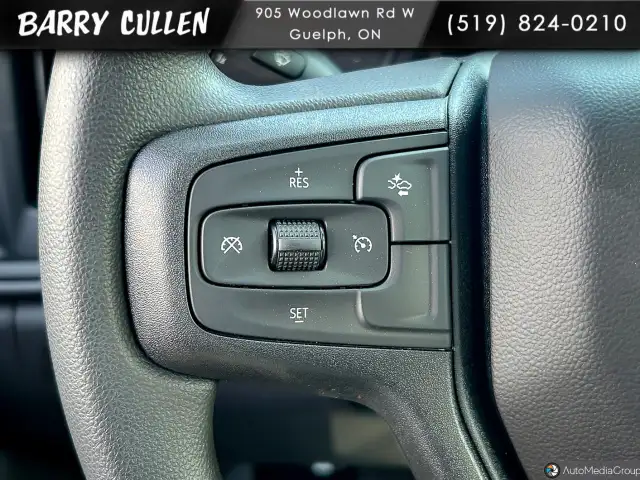 2025 Chevrolet Silverado 1500 in Cars & Trucks in Guelph - Image 15