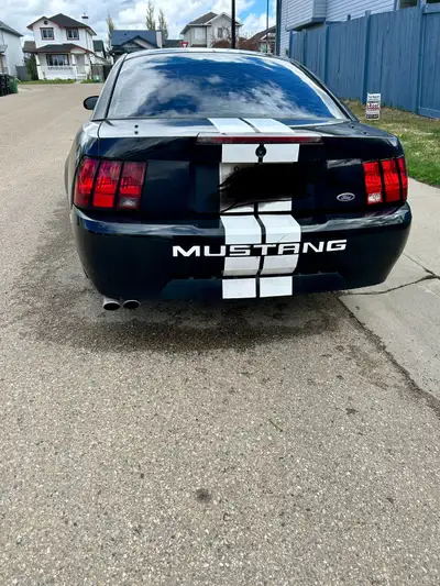 2003 Ford Mustang Basic