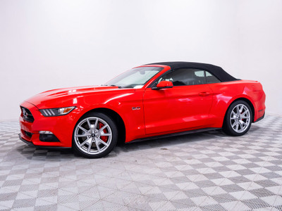  2015 Ford Mustang CONVERTIBLE 50 E ANNIVERSAIRE TRES RARE GT V-