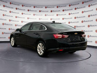 Thanks for viewing our House Of Cars Deerfoot inventory! Licensed Amvic Dealer! LICENSE PLATE BRACKE... (image 3)