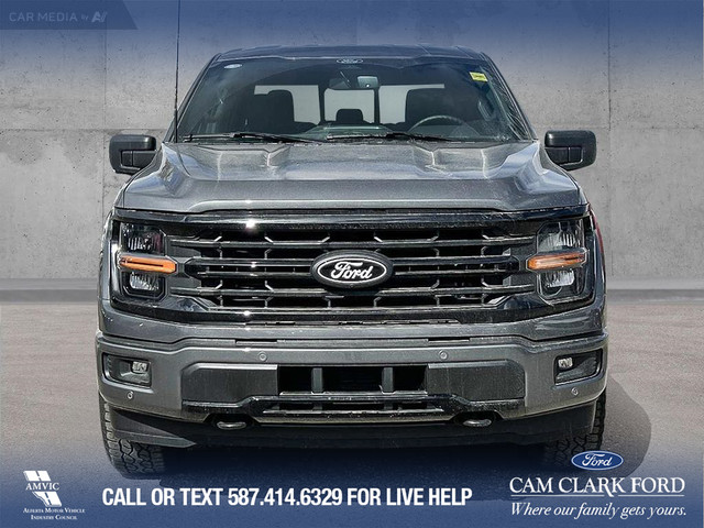 2025 Ford F-150 XLT in Cars & Trucks in Calgary - Image 2