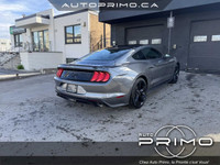 2021 Ford Mustang EcoBoost Premium Fastback RWD Automatique avec Sièges en Cuir Navigation GPS Carpl... (image 4)