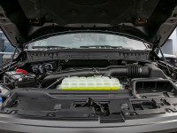 Experience the future of tough with the 2025 Ford F-150 Tremor. This cutting-edge truck combines rug... (image 5)