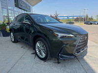 This 2024 Lexus NX 350h Series embodies the newest evolution of the Lexus design language melding cl... (image 3)
