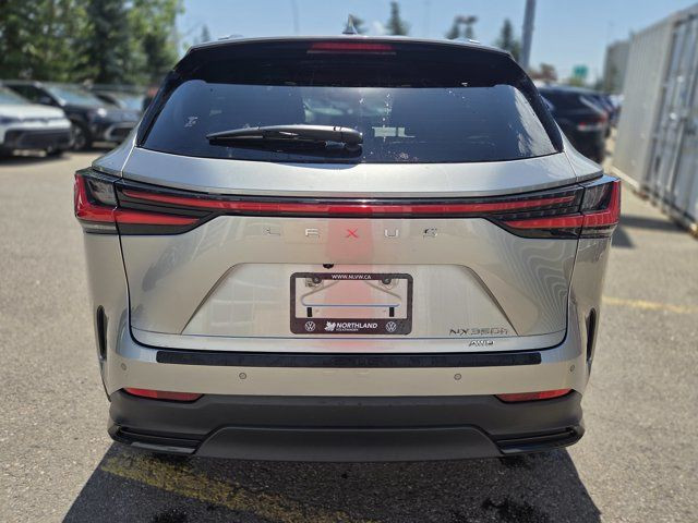 2022 Lexus NX NX 350h in Cars & Trucks in Calgary - Image 4