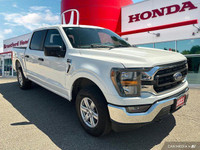 Command the road with this robust 2023 Ford F-150 XL Crew Cab pickup, boasting a powerful 3.5L V6 Ec... (image 7)