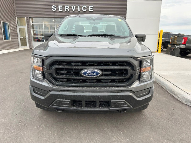  2023 Ford F-150 XL *101A, 8' Box, 3.5L Eco, Trailer Tow* in Cars & Trucks in Kawartha Lakes - Image 3