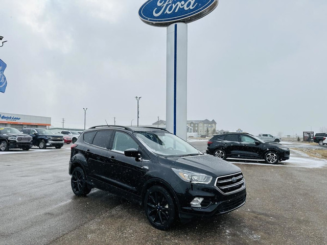2019 Ford Escape SE 4X4 in Cars & Trucks in Edmonton - Image 2