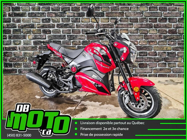 2023 Scootterre ar-50 ** aucun frais cache ** in Scooters & Pocket Bikes in Lanaudière - Image 2
