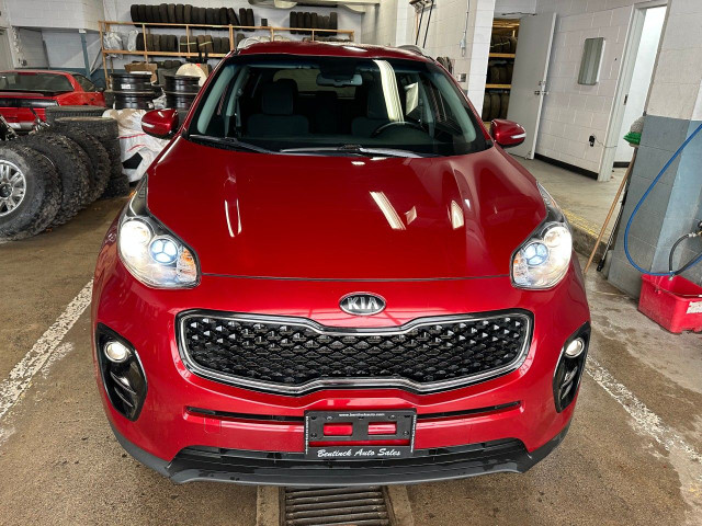 2017 Kia Sportage in Cars & Trucks in Owen Sound - Image 3