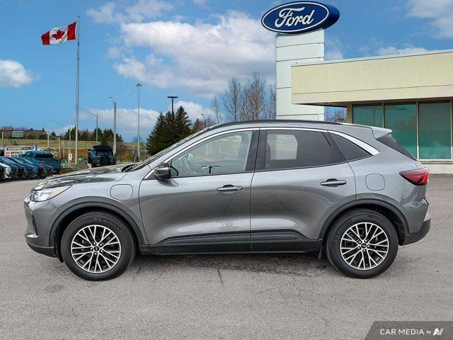 2024 Ford Escape PHEV in Cars & Trucks in Kitchener / Waterloo - Image 4