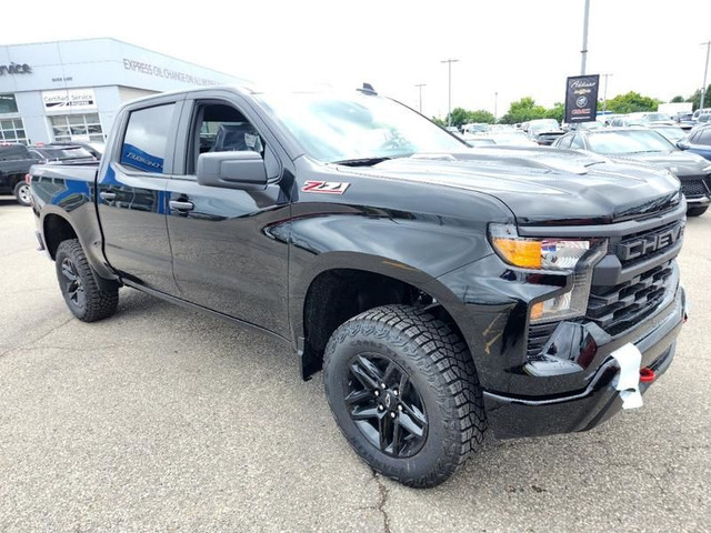 2025 Chevrolet Silverado 1500 Custom Trail in Cars & Trucks in Mississauga / Peel Region - Image 3
