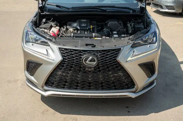 2018 Lexus NX NX 300 in Cars & Trucks in Edmonton - Image 13