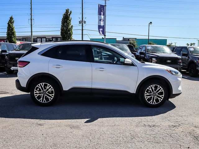 2020 Ford Escape SEL AWD in Cars & Trucks in Markham / York Region - Image 4