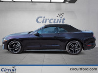 La Ford Mustang décapotable 2023 incarne l'élégance sportive à ciel ouvert. Son moteur 2.3L EcoBoost... (image 3)