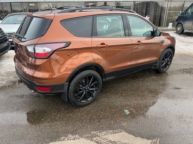 2017 Ford Escape in Cars & Trucks in Edmonton - Image 3