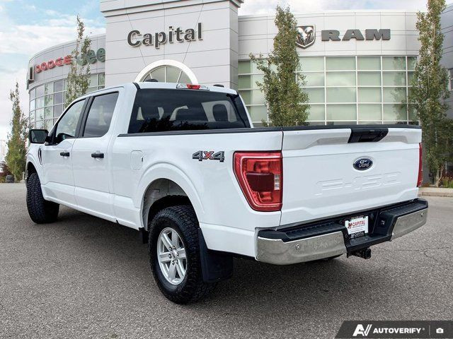 2023 Ford F-150 XLT | Accident Free CarFax | in Cars & Trucks in Edmonton - Image 4