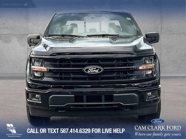 2025 Ford F-150 XLT in Cars & Trucks in Calgary - Image 2