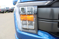 Every pre-owned vehicle from Big M Ford Lincoln comes with a full inspection, a free car proof vehic... (image 9)