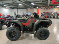 2024 Honda RUBICON 520 IRS EPS WINCH INCLUDED!