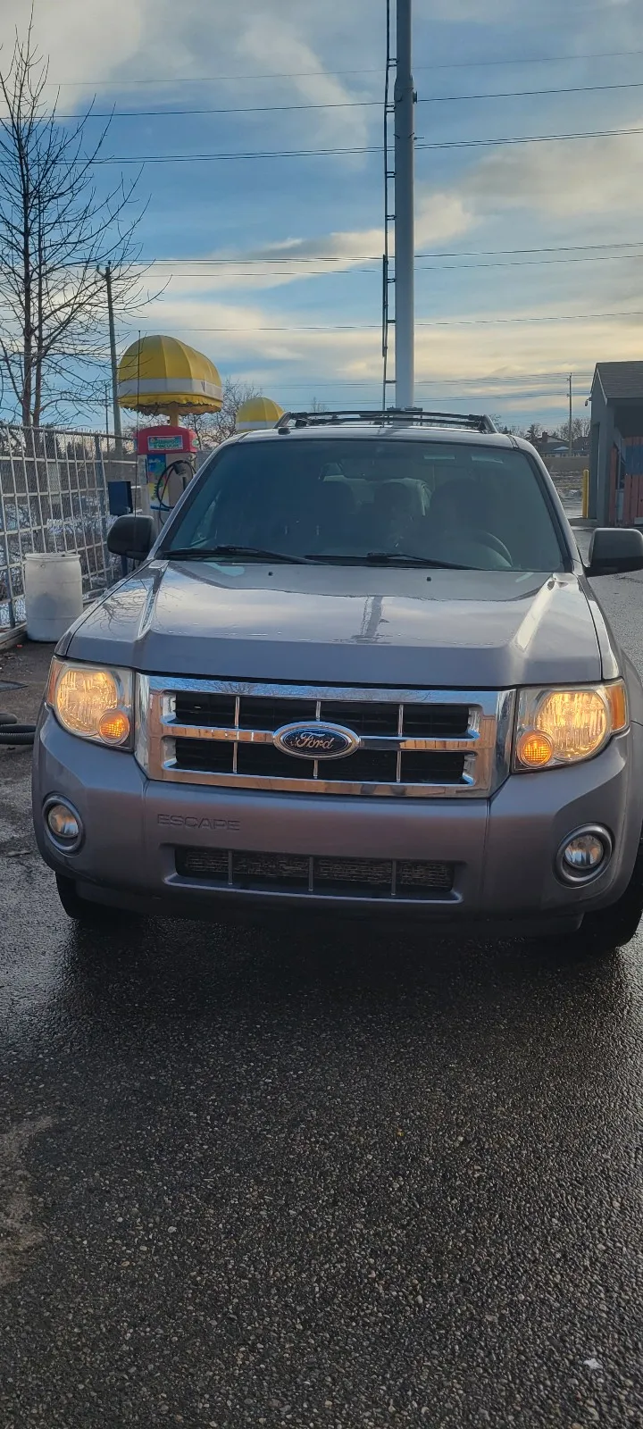 2008 Ford Escape XLT 2008 Ford Escape XLT