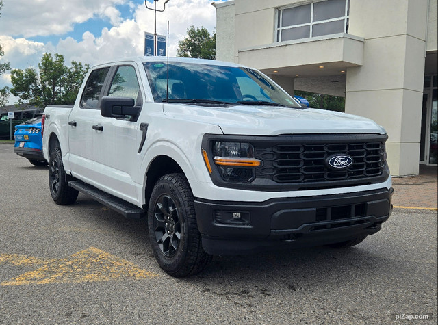 2025 Ford F-150 STX | REAR VIEW CAM | TRAILER HITCH | BLIS in Cars & Trucks in Calgary - Image 2