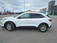 Apple CarPlay, Android Auto, Power Liftgate, Blind Spot Detection, Lane Keep Assist! SALES HOTLINE s... (image 4)