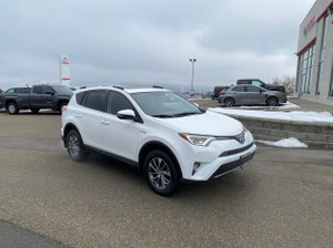 2016 Toyota RAV 4 XLE