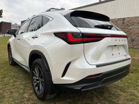 2022 LEXUS NX 250 AWD. PEARL WHITE ON BLACK LEATHER INTERIOR. MINT CONDITION. APPLE CAR PLAY. REAR V... (image 6)