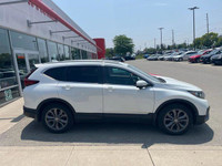Come visit our London Honda team, you can find us at 560 Wharncliffe Rd S, London, ON, N6J 2N4, or c... (image 2)