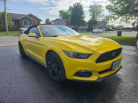 Check out this certified 2016 Ford Mustang EcoBoost Premium | Leather | Nav | Heated & Cooled Seats... (image 3)